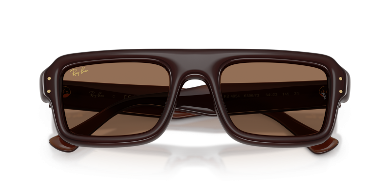 Rayban RB4954 689673 close-up ด้านหน้า
