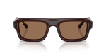 Rayban Sun RB4954 689673 Transparent Brown Dark Brown Rayban RB4954 689673 แว่นกันแดดนักบินกรอบน้ำตาลโปร่งใส เลนส์น้ำตาลเข้ม สำหรับทุกเพศ