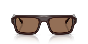 Rayban RB4954 689673 แว่นกันแดดนักบินกรอบน้ำตาลโปร่งใส เลนส์น้ำตาลเข้ม สำหรับทุกเพศ