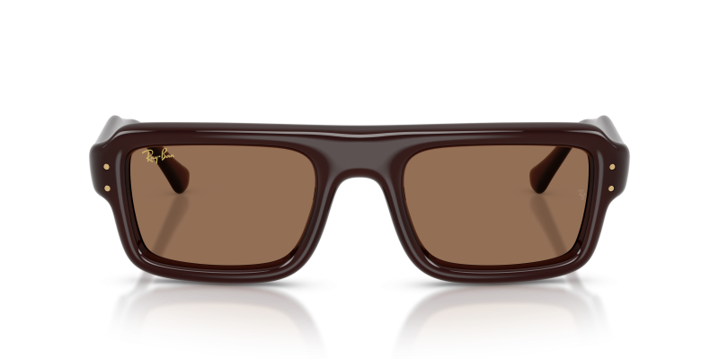 Rayban Sun RB4954 689673 Transparent Brown Dark Brown Rayban RB4954 689673 แว่นกันแดดนักบินกรอบน้ำตาลโปร่งใส เลนส์น้ำตาลเข้ม สำหรับทุกเพศ