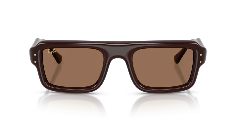 Rayban Sun RB4954 689673 Transparent Brown Dark Brown Rayban RB4954 689673 แว่นกันแดดนักบินกรอบน้ำตาลโปร่งใส เลนส์น้ำตาลเข้ม สำหรับทุกเพศ