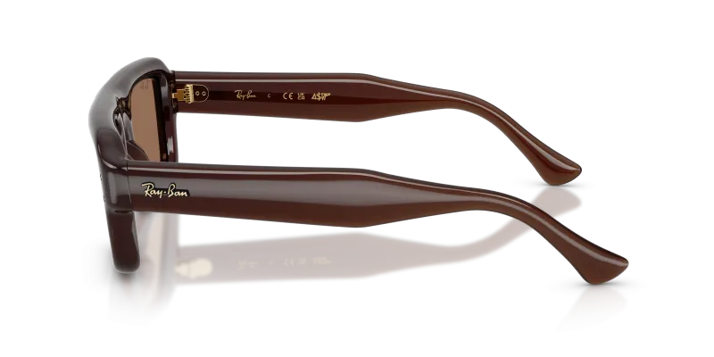 แว่นกันแดด Rayban RB4954 689673 มุมข้าง ทรงนักบินกรอบไนลอนน้ำตาลโปร่งใส