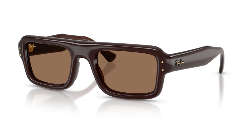 Rayban RB4954 689673 มุมเอียง 3/4