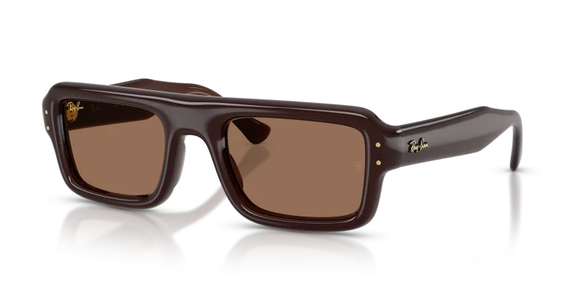 Rayban RB4954 689673 มุมเอียง 3/4
