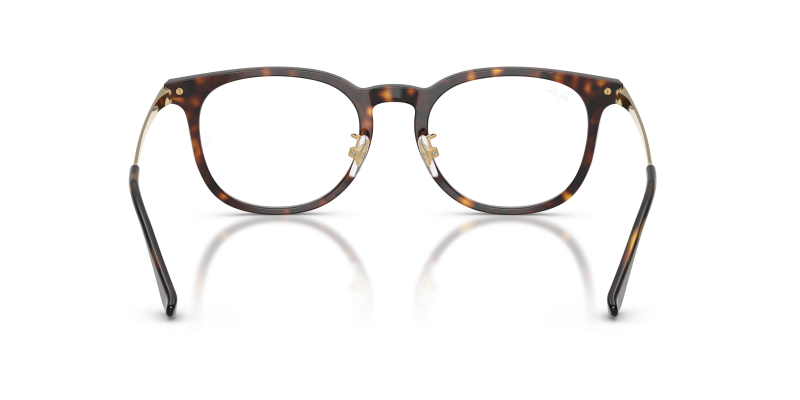 Rayban RX5453D 2012 ขาแว่นด้านใน