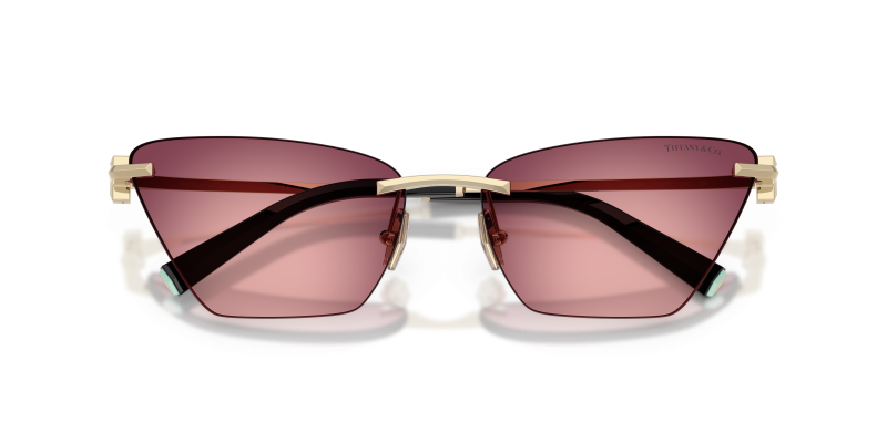 Tiffany & Co TF3120 62428H close-up ด้านหน้า