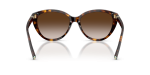 Tiffany & Co Sun TF4251F 80153B Havana Brown Gradient Tiffany & Co TF4251F 80153B ขาแว่นด้านใน