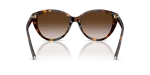 Tiffany & Co Sun TF4251F 80153B Havana Brown Gradient Tiffany & Co TF4251F 80153B ขาแว่นด้านใน