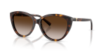 Tiffany & Co Sun TF4251F 80153B Havana Brown Gradient Tiffany & Co TF4251F 80153B มุมเอียง 3/4