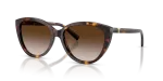 Tiffany & Co Sun TF4251F 80153B Havana Brown Gradient Tiffany & Co TF4251F 80153B มุมเอียง 3/4