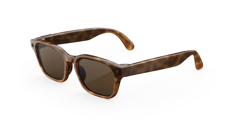 Tortoise / Brown