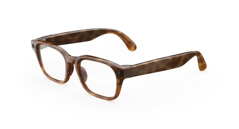 Tortoise / Clear