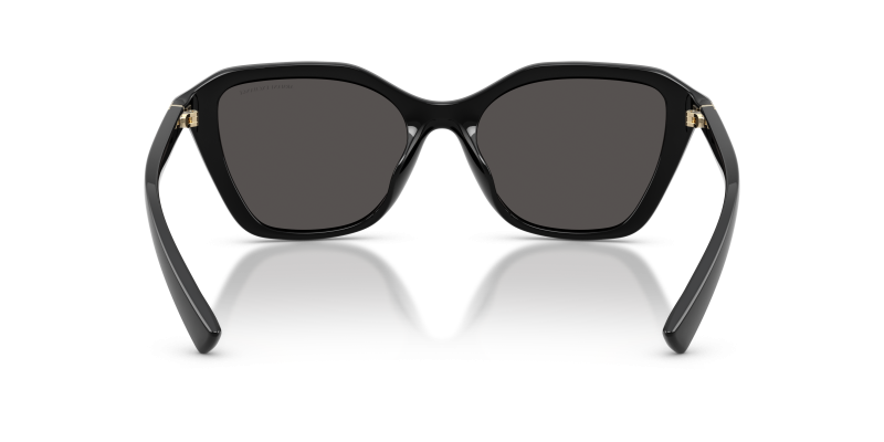แว่นกันแดด Armani Exchange AX4173SU-815887 ขาแว่นด้านใน