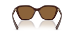 แว่นกันแดด Armani Exchange AX4173SU-841473 Shiny Brown Brown แว่นกันแดด Armani Exchange AX4173SU-841473 ขาแว่นด้านใน