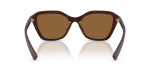 แว่นกันแดด Armani Exchange AX4173SU-841473 Shiny Brown Brown แว่นกันแดด Armani Exchange AX4173SU-841473 ขาแว่นด้านใน