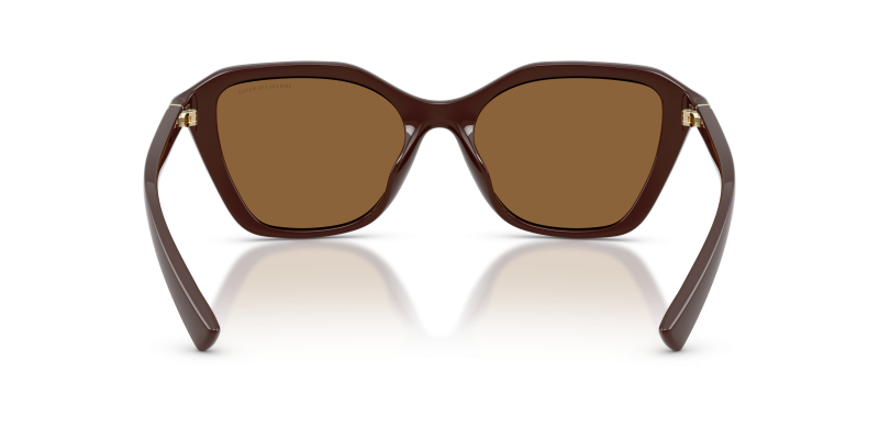 แว่นกันแดด Armani Exchange AX4173SU-841473 ขาแว่นด้านใน