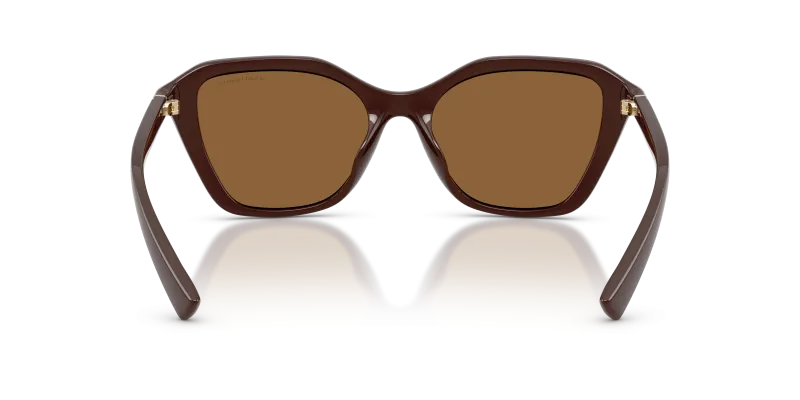 แว่นกันแดด Armani Exchange AX4173SU-841473 ขาแว่นด้านใน