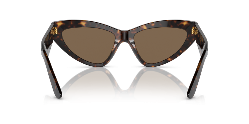 Dolce & Gabbana DG4439 502/73 ขาแว่นด้านใน