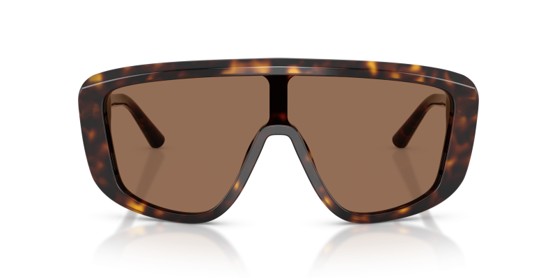 Dolce & Gabbana DG4520 502/73 ด้านหน้า