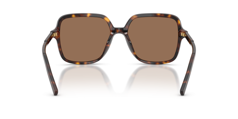Dolce & Gabbana DG4539 502/73 ขาแว่นด้านใน