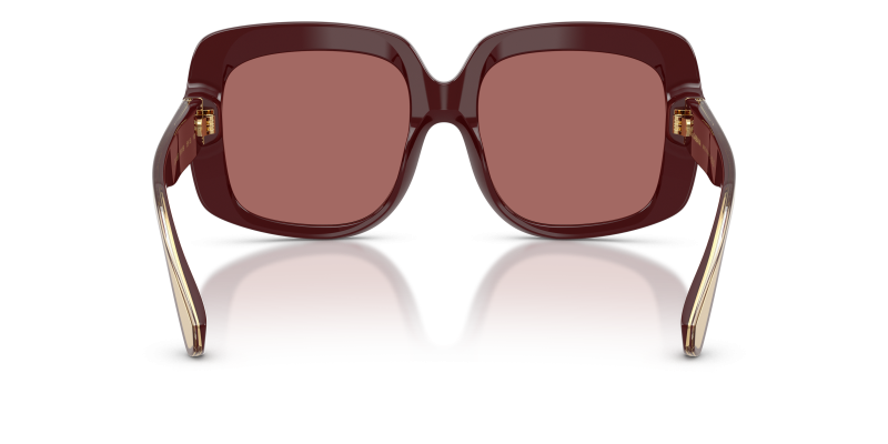 แว่นกันแดด Dolce & Gabbana DG4557-309169 ขาแว่นด้านใน