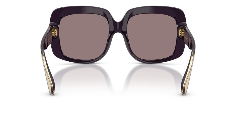 แว่นกันแดด Dolce & Gabbana DG4557-35017N ขาแว่นด้านใน