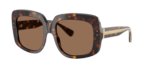แว่นกันแดด Dolce & Gabbana DG4557-502/73 มุมเฉียง สีฮาวานา สำหรับผู้หญิง
