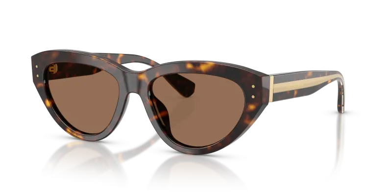 แว่นกันแดด Dolce & Gabbana DG4558-502/73 Havana Dark Brown แว่นกันแดด Dolce & Gabbana DG4558-502/73 มุมเฉียง สีฮาวานา สำหรับผู้หญิง