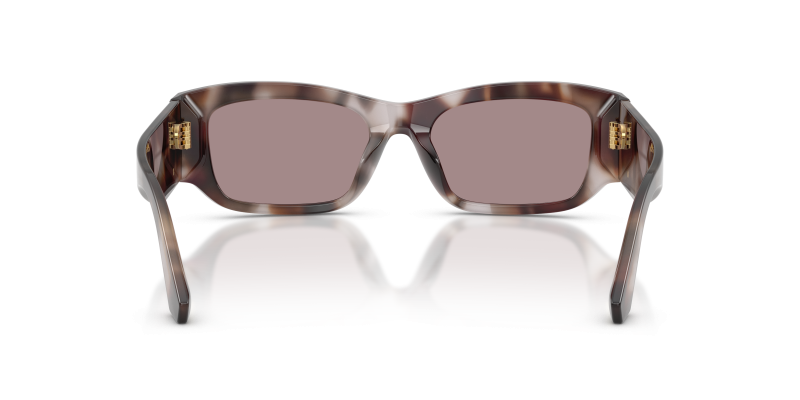 แว่นกันแดด Dolce & Gabbana DG4564-3498LA ขาแว่นด้านใน