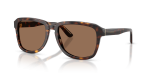 แว่นกันแดด Dolce & Gabbana DG4566-502/73 มุมเฉียง สีฮาวานา สำหรับผู้ชาย