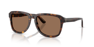 แว่นกันแดด Dolce & Gabbana DG4566-502/73 มุมเฉียง สีฮาวานา สำหรับผู้ชาย