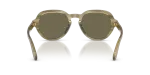 แว่นกันแดด Dolce & Gabbana DG4567-3480/3 Transp Green on Striped Green Brown แว่นกันแดด Dolce & Gabbana DG4567-3480/3 ขาแว่นด้านใน