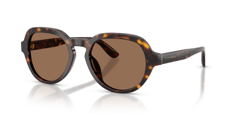 แว่นกันแดด Dolce & Gabbana DG4567-502/73 Havana Dark Brown แว่นกันแดด Dolce & Gabbana DG4567-502/73 มุมเฉียง สีฮาวานา สำหรับผู้ชาย