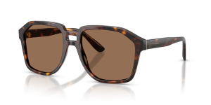 แว่นกันแดด Dolce & Gabbana DG4568-502/73 มุมเฉียง สีฮาวานา สำหรับผู้ชาย