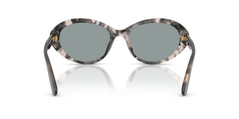 แว่นกันแดด Dolce & Gabbana DG4570-3172/1 ขาแว่นด้านใน
