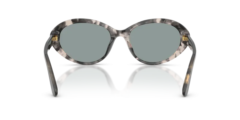 แว่นกันแดด Dolce & Gabbana DG4570-3172/1 ขาแว่นด้านใน