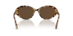 แว่นกันแดด Dolce & Gabbana DG4570-512/73 Yellow Havana Dark Brown แว่นกันแดด Dolce & Gabbana DG4570-512/73 ขาแว่นด้านใน