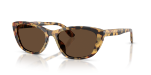 แว่นกันแดด Dolce & Gabbana DG4571-512/73 Yellow Havana Dark Brown
