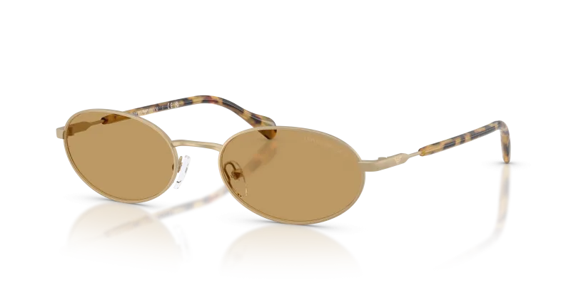 Emporio Armani EA2175 300273 แว่นกันแดดสีทองด้าน ผู้ชาย
