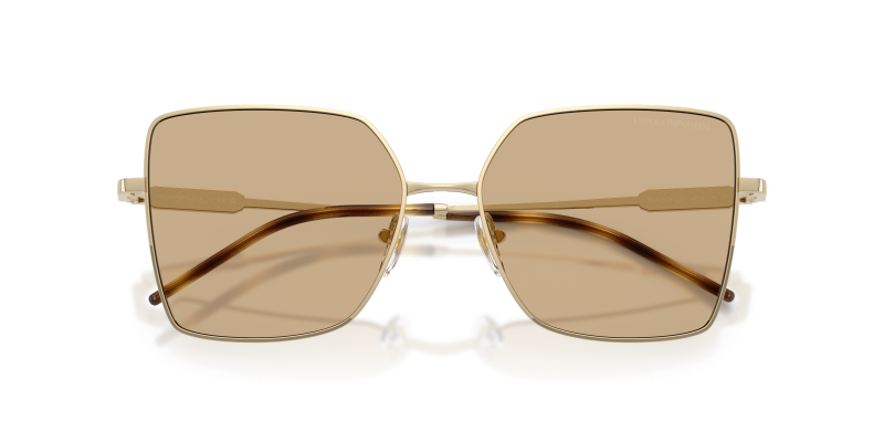 แว่นกันแดด Emporio Armani EA2179-301373 close-up ด้านหน้า