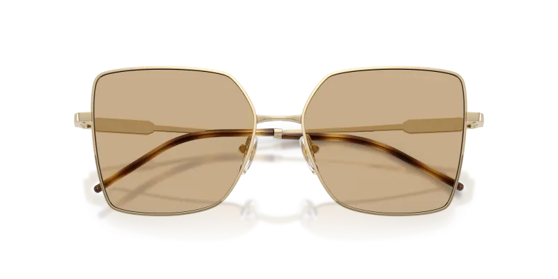 แว่นกันแดด Emporio Armani EA2179-301373 close-up ด้านหน้า
