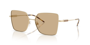 แว่นกันแดด Emporio Armani EA2179-301373 สีทองอ่อนมันเงา เลนส์น้ำตาลเข้มทึบ