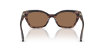 แว่นกันแดด Emporio Armani EA4284U-646173 Shiny Havana Tundra Dark Brown แว่นกันแดด Emporio Armani EA4284U-646173 ขาแว่นด้านใน