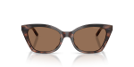 แว่นกันแดด Emporio Armani EA4284U-646173 Shiny Havana Tundra Dark Brown แว่นกันแดด Emporio Armani EA4284U-646173 ด้านหน้า