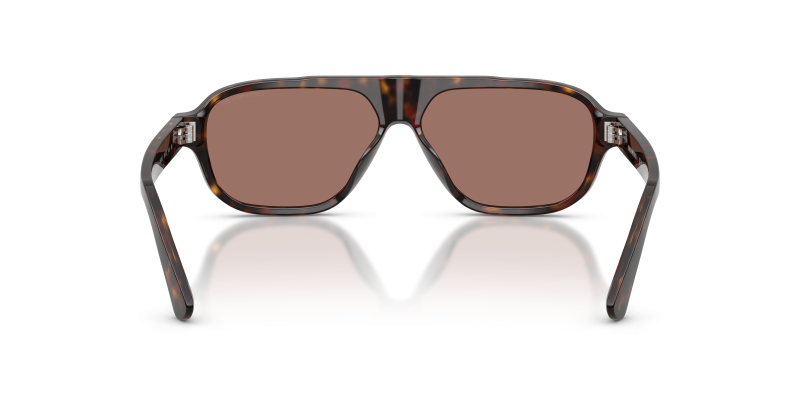 แว่นกันแดด Emporio Armani EA4285U-64596G ขาแว่นด้านใน