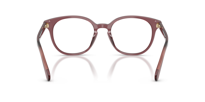 แว่นสายตา Coach HC6301F-5969 สีม่วงโปร่งใส มุมด้านหลัง