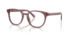 แว่นสายตา Coach HC6301F-5969 สีม่วงโปร่งใส มุมสามส่วนสี่