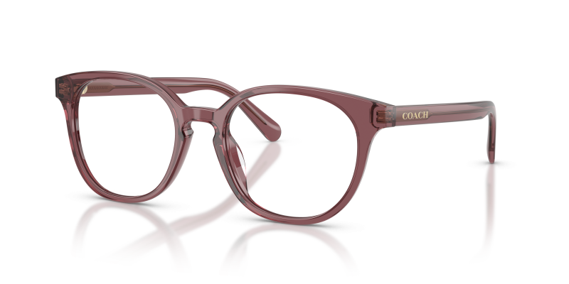 กรอบแว่นสายตา Coach HC6301F-5969 Transparent Purple แว่นสายตา Coach HC6301F-5969 สีม่วงโปร่งใส มุมสามส่วนสี่
