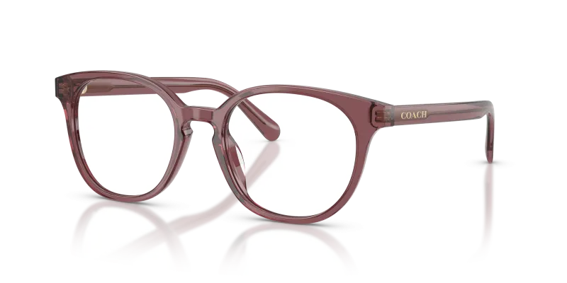 แว่นสายตา Coach HC6301F-5969 สีม่วงโปร่งใส มุมสามส่วนสี่