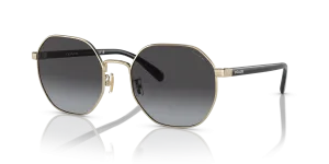 Coach HC7147-90058G 90058G แว่นกันแดดสีทองอ่อนประกาย สำหรับผู้หญิง